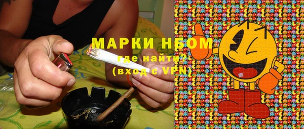 прущая мука Вяземский