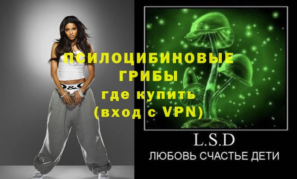 прущая мука Вяземский