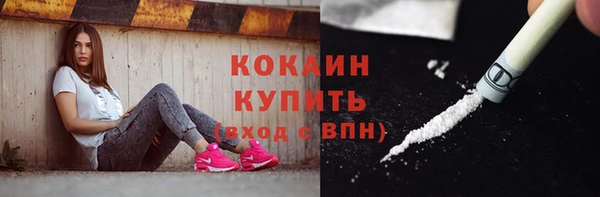 прущая мука Вяземский