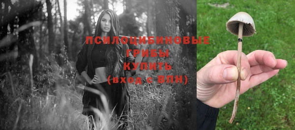 прущая мука Вяземский